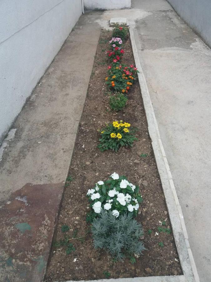 Apartments Radulovic Сутоморе Экстерьер фото