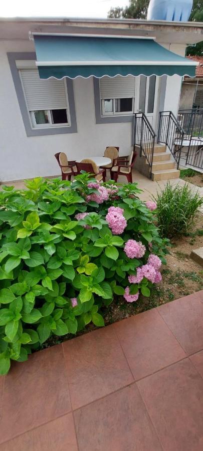 Apartments Radulovic Сутоморе Экстерьер фото